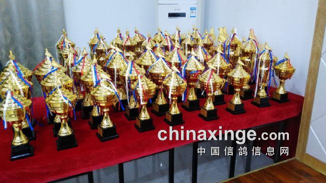 2016年海南省信鸽协会颁奖拍卖现场