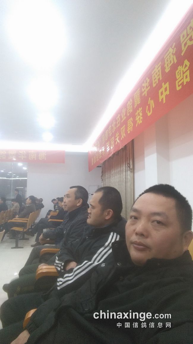 2016年海南省信鸽协会颁奖拍卖现场