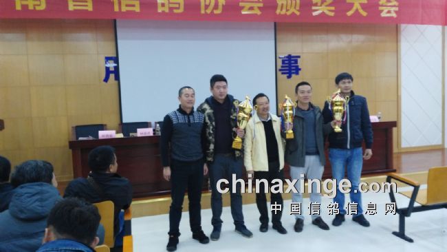 2016年海南省信鸽协会颁奖拍卖现场