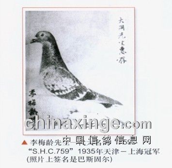 759,雨点鸽,黄眼,1932年出生,环号:j32-759,血统:李种,作出者:李梅龄