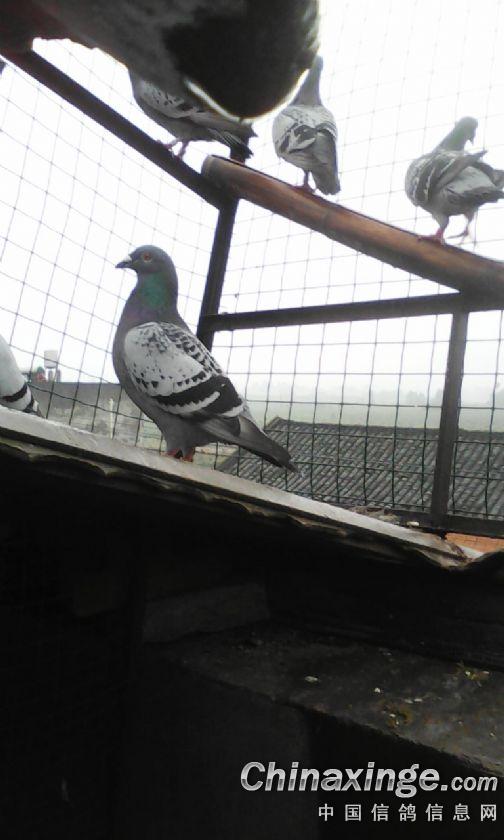 按此在新窗口浏览图片