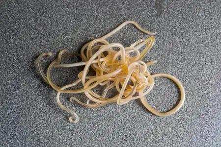 �빭�γ没