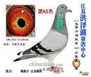 12年江苏洪泽湖公棚决赛85名,胡本——年轻艺术家 12年江苏洪泽湖公棚决赛85名,胡本——年轻艺术家