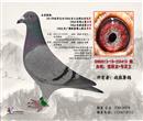 CHN:2013-19-203419 雌
血统:速霸龙+华夏王
2013年秋季吉水500公里
特比环冠军
500公里鸽王赛亚军
500公里精英赛亚军
500公里广佛联赛
佛山赛区季军
父亲:2012-19-233397
血统:詹森+华夏王
本身赛级:
2012年秋季佛山市鸽会
300公里第37名
母亲:2012-19-230669
血统:速霸龙+电脑
本身赛级:
2012年冬季佛山市鸽会
400公里排名赛11名
400公里精英赛第5名
400公里棚号赛亚军
600公里排名赛11名
600公里指定200元组亚军 CHN:2013-19-203419 雌
血统:速霸龙+华夏王
2013年秋季吉水500公里
特比环冠军
500公里鸽王赛亚军
500公里精英赛亚军
500公里广佛联赛
佛山赛区季军
父亲:2012-19-233397
血统:詹森+华夏王
本身赛级:
2012年秋季佛山市鸽会
300公里第37名
母亲:2012-19-230669
血统:速霸龙+电脑
本身赛级:
2012年冬季佛山市鸽会
400公里排名赛11名
400公里精英赛第5名
400公里棚号赛亚军
600公里排名赛11名
600公里指定200元组亚军