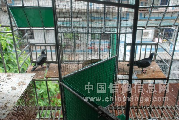 �м���һ��۵��ţ��ù���ĸ���� 