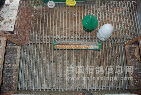 4�������������������Ƥ���20����