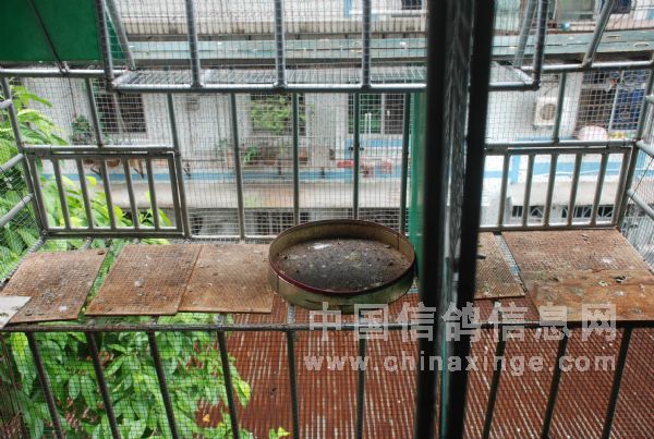 ��������������������һ���ŷɿ�