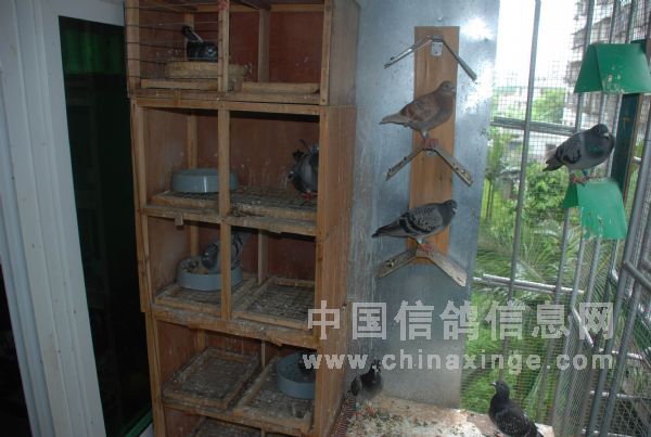 ���䣬վ��