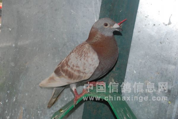 ȥ�깫��416����420����ð���