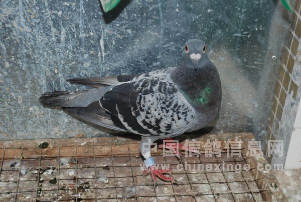 ȥ�깫��373����420����2ǧ����