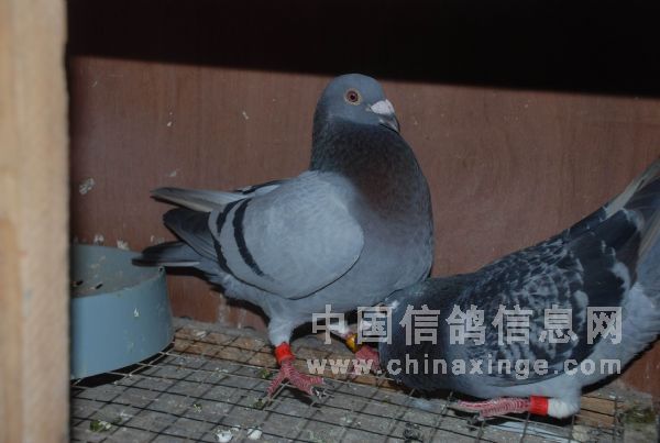 �����빫��ٹ��