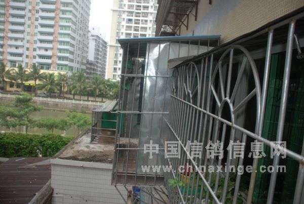 ���⿴���棬�ɶ�������