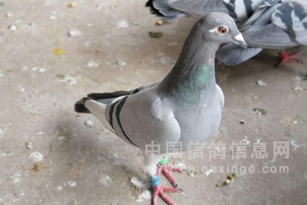 С������