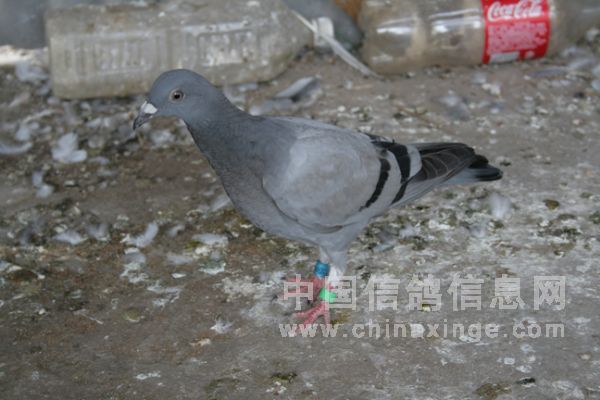 С������