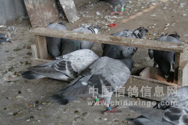 С������