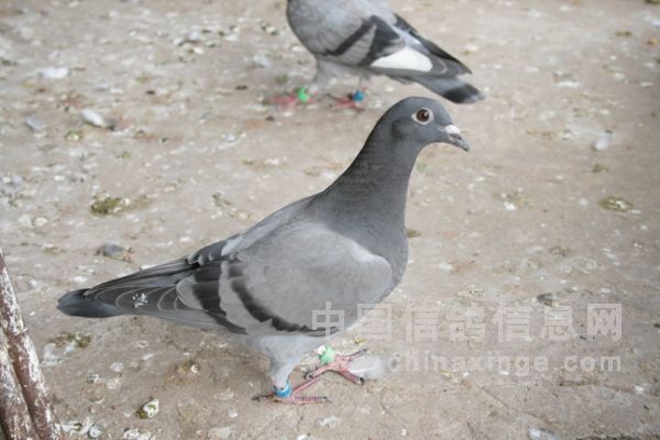 С������