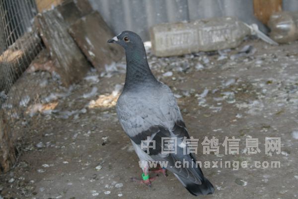 С������