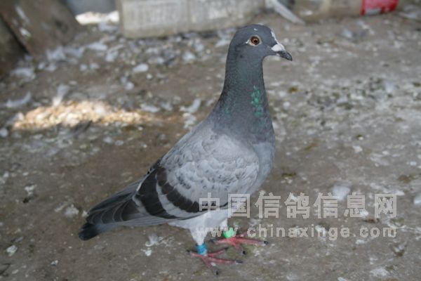 С������