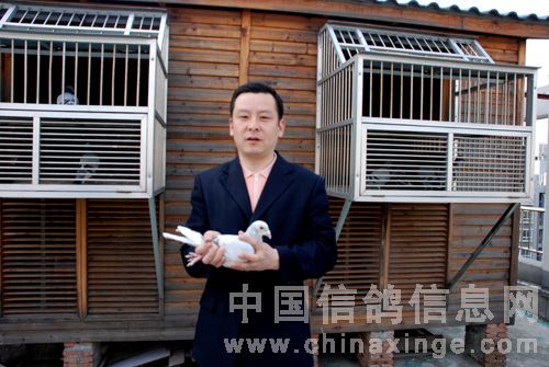 �ھ���500����ھ���