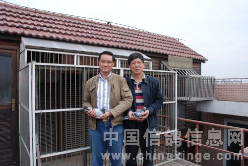 �Ǿ��ս���Ͱ׹���������Ԩ��Ӱ.