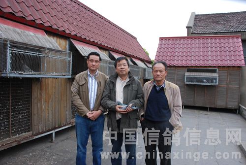 �������Ѻ�Ӱ