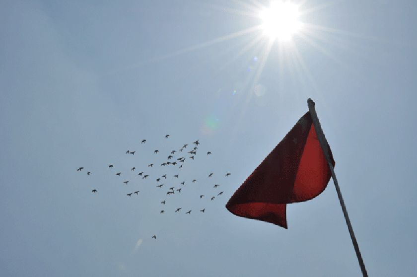 蓝天红日,五星红旗,和平鸽,构绘出祥和与和湝的画面