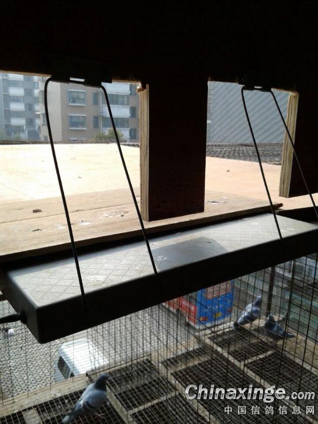 改换了电子跳台进口,栖架改成巢箱.