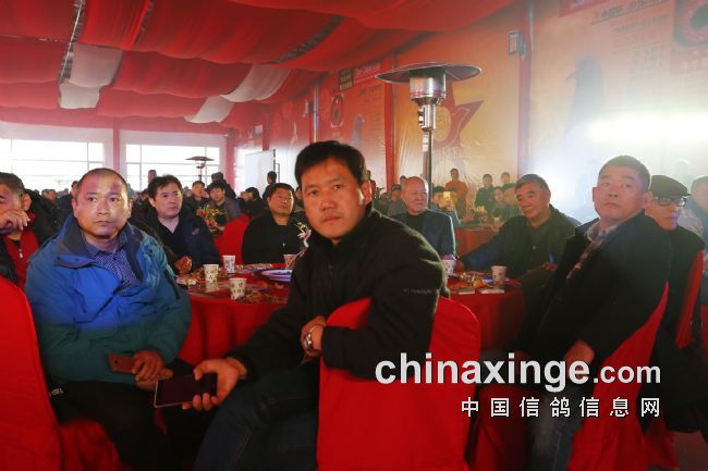 开创者天津国际赛鸽俱乐部正式起航