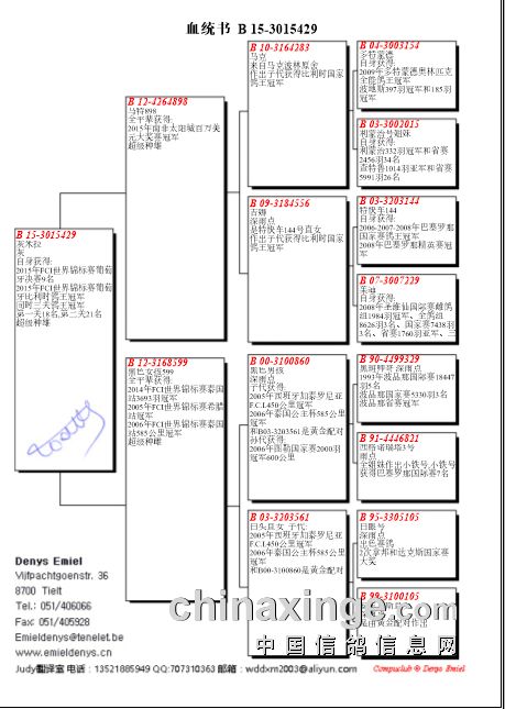 艾米尔丹尼斯鸽展图片